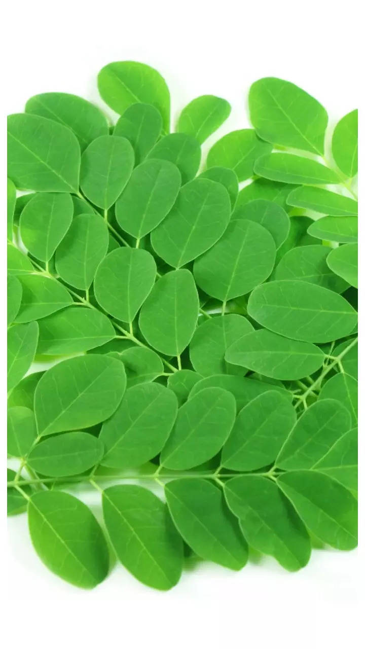 9 Reasons why moringa leaves is considered a superfood