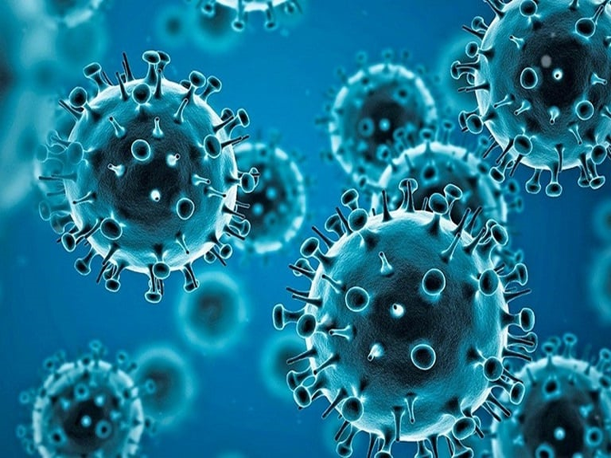 Covid pandemic hmpv virus surge china