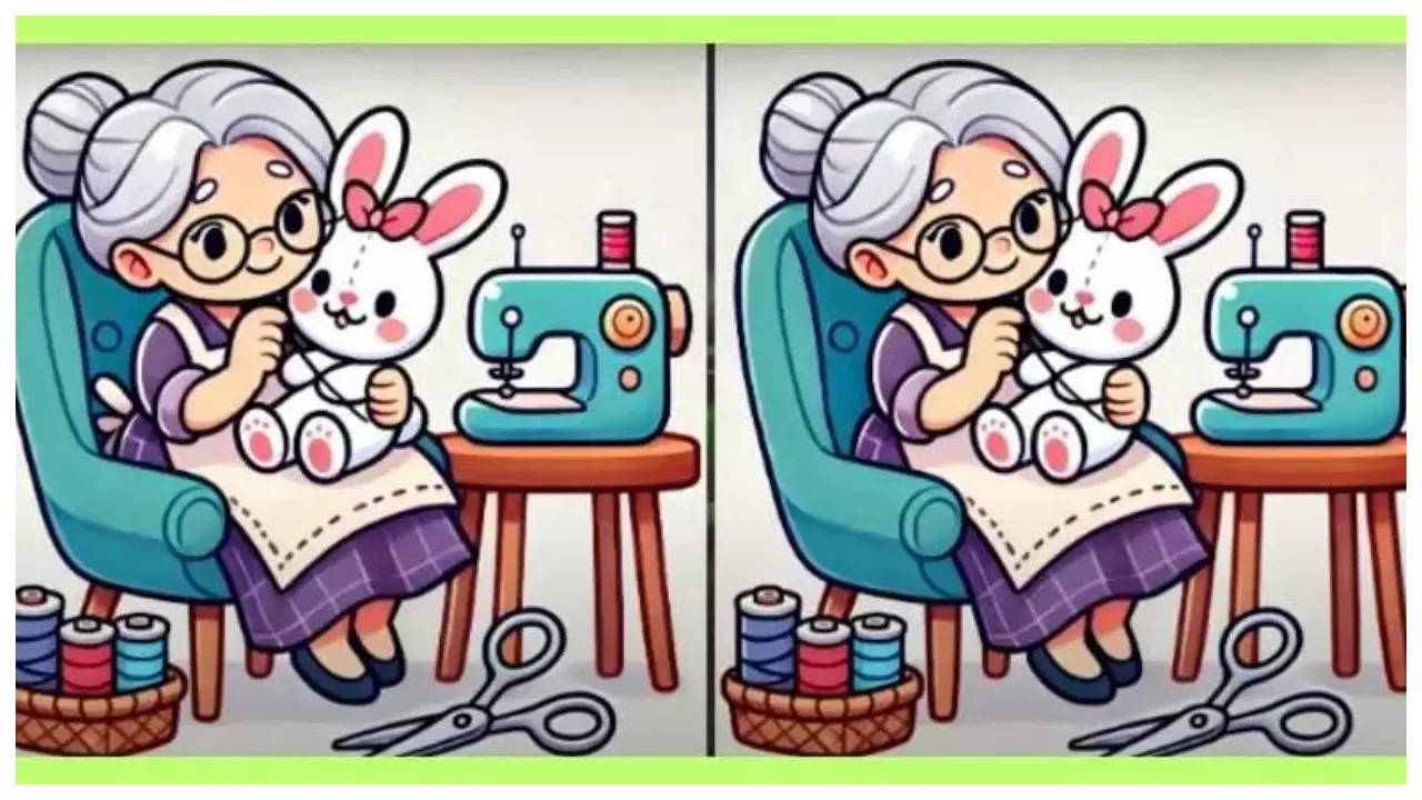 Optical illusion: Only those with sharp vision may spot 3 differences in this lady sewing teddy-bear