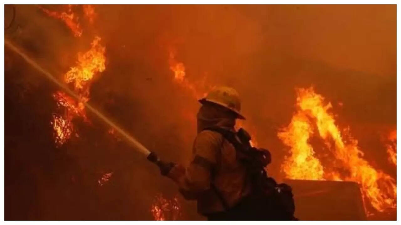 Pacific Palisades wildfire: Celebs express their concerns