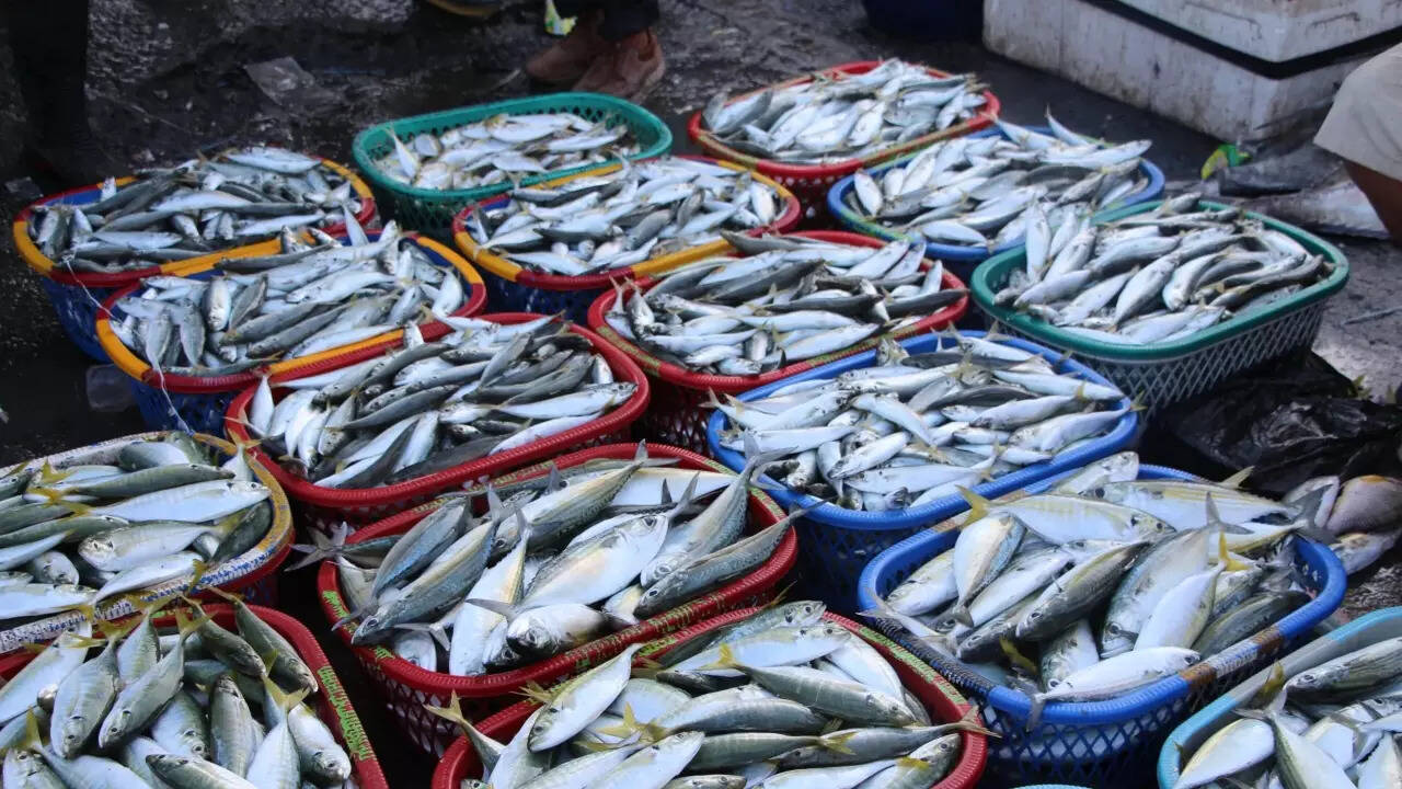 Seafood microplastics (3)