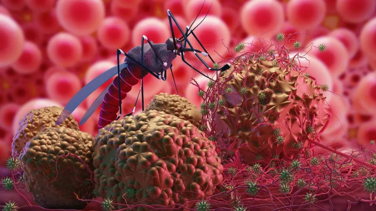 Innovative cure for dengue and malaria: ‘Toxic’ semen from male mosquitoes kills females