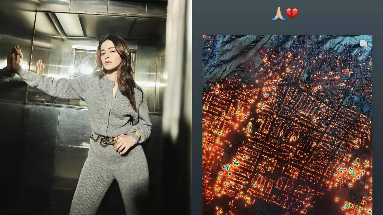 Ananya reacts to the devastating LA wildfires