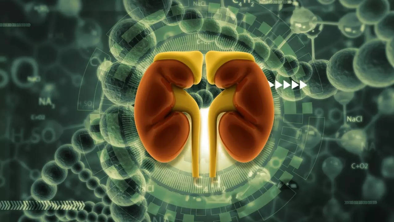 Can HMPV affect your kidneys? Signs and symptoms to watch out for