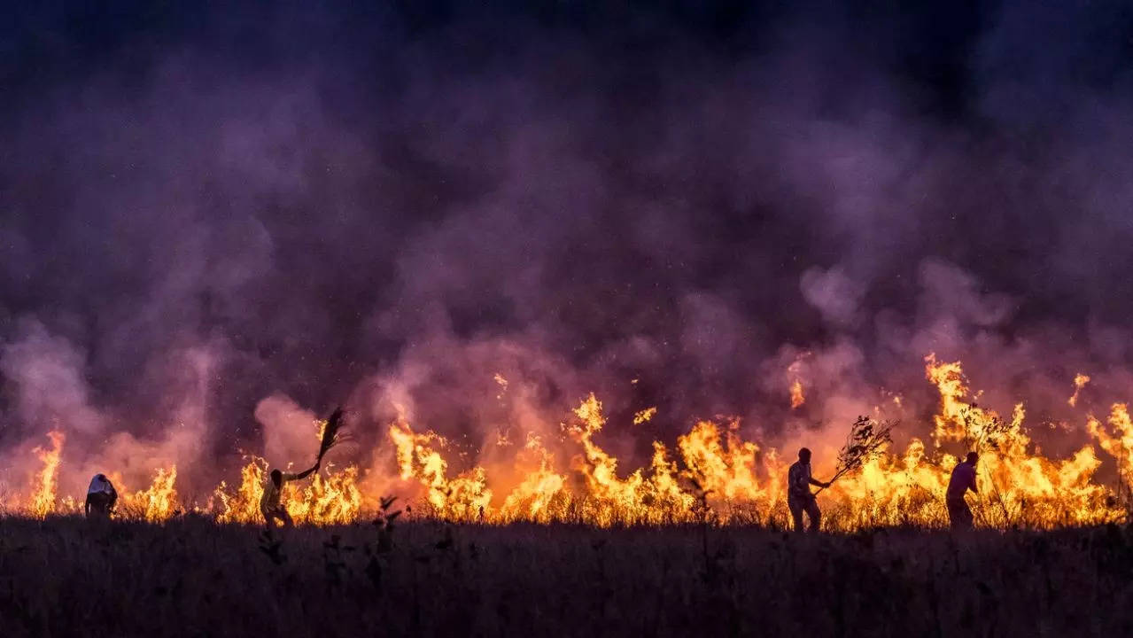 California wildfires: Mental health tips to cope with loss and grief amid devastation