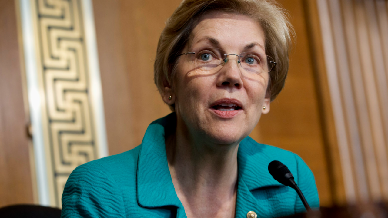 Elizabeth Warren slammed for seeking wildfire donations to Democrat platform