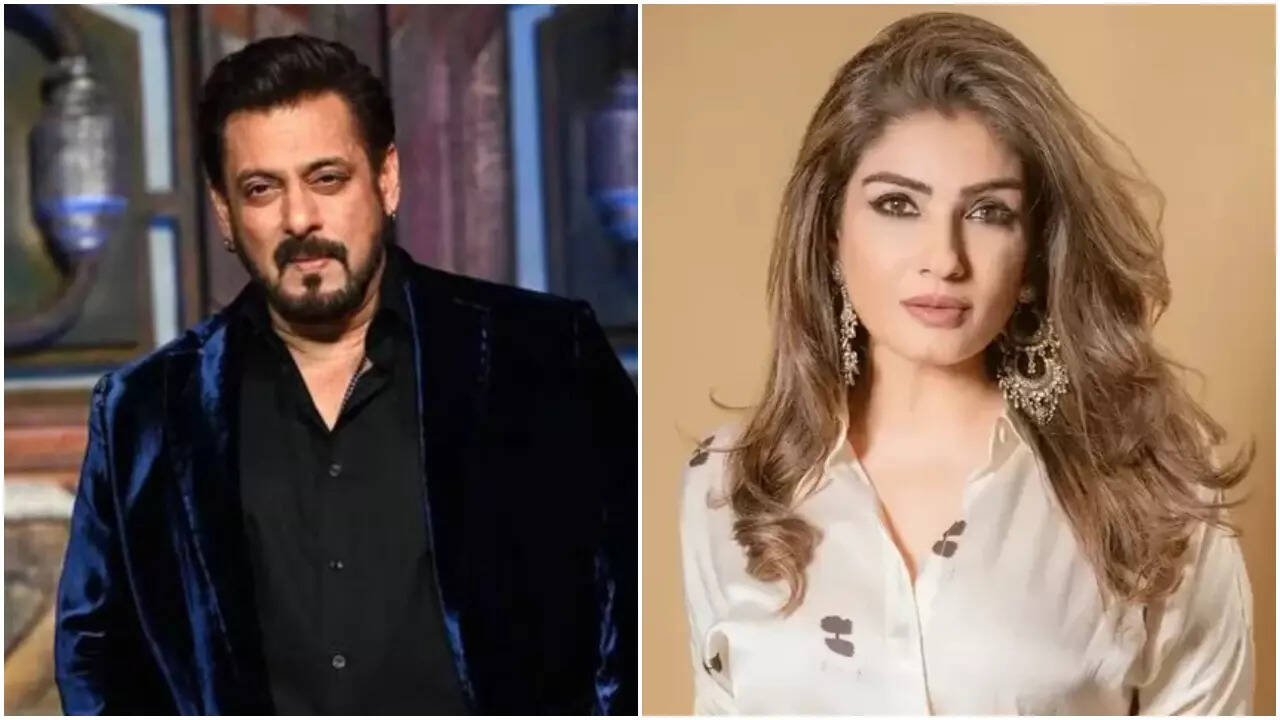 Salman recalls playful on-set moments with Raveena
