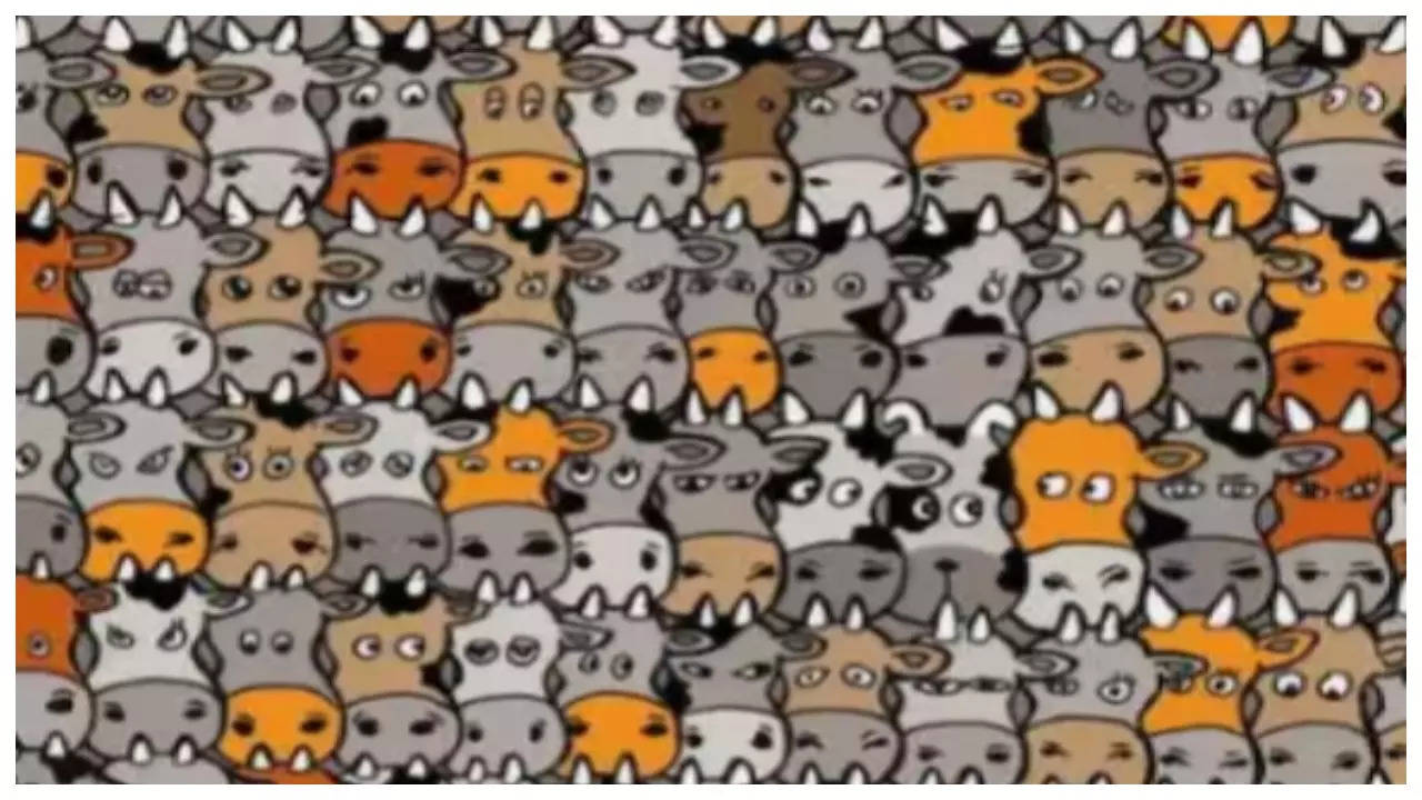 Optical illusion: Only those with sharp vision can spot a dog hiding in this herd of cows within 30 seconds