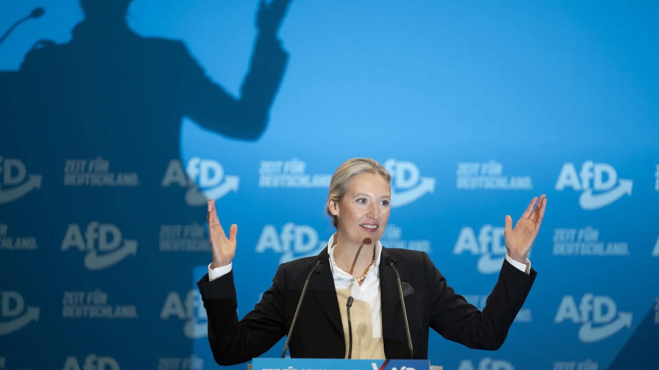 Fact check: AfD head called Hitler 'communist.' He was not