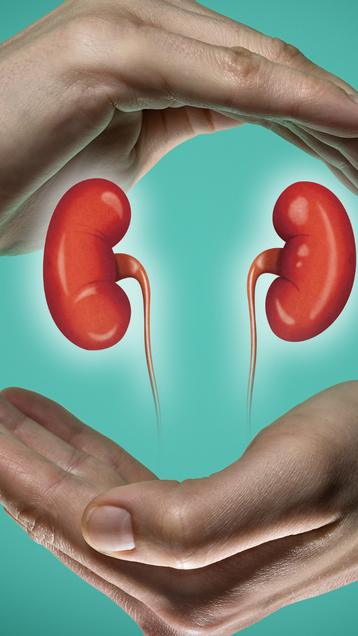 10 morning habits to keep the kidneys in good health