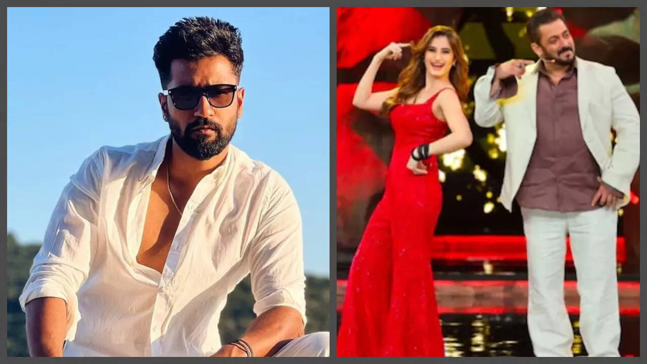 Entertainment News Live Updates: Vicky Kaushal might be part of Ranbir Kapoor starrer ‘Dhoom 4’ and Alia Bhatt starrer ‘Alpha’; Rasha Thadani recalls cutting Salman Khan’s birthday cake as a kid