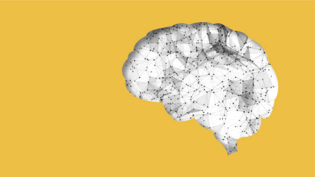 A man’s brain is 10%-15% larger than a woman’s: Understanding how it matters (at all)