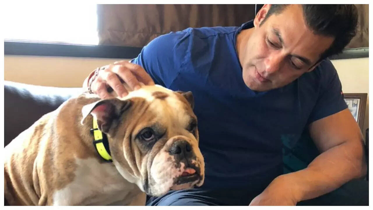 Salman's pet dog passes away; Iulia Vantur pays tribute