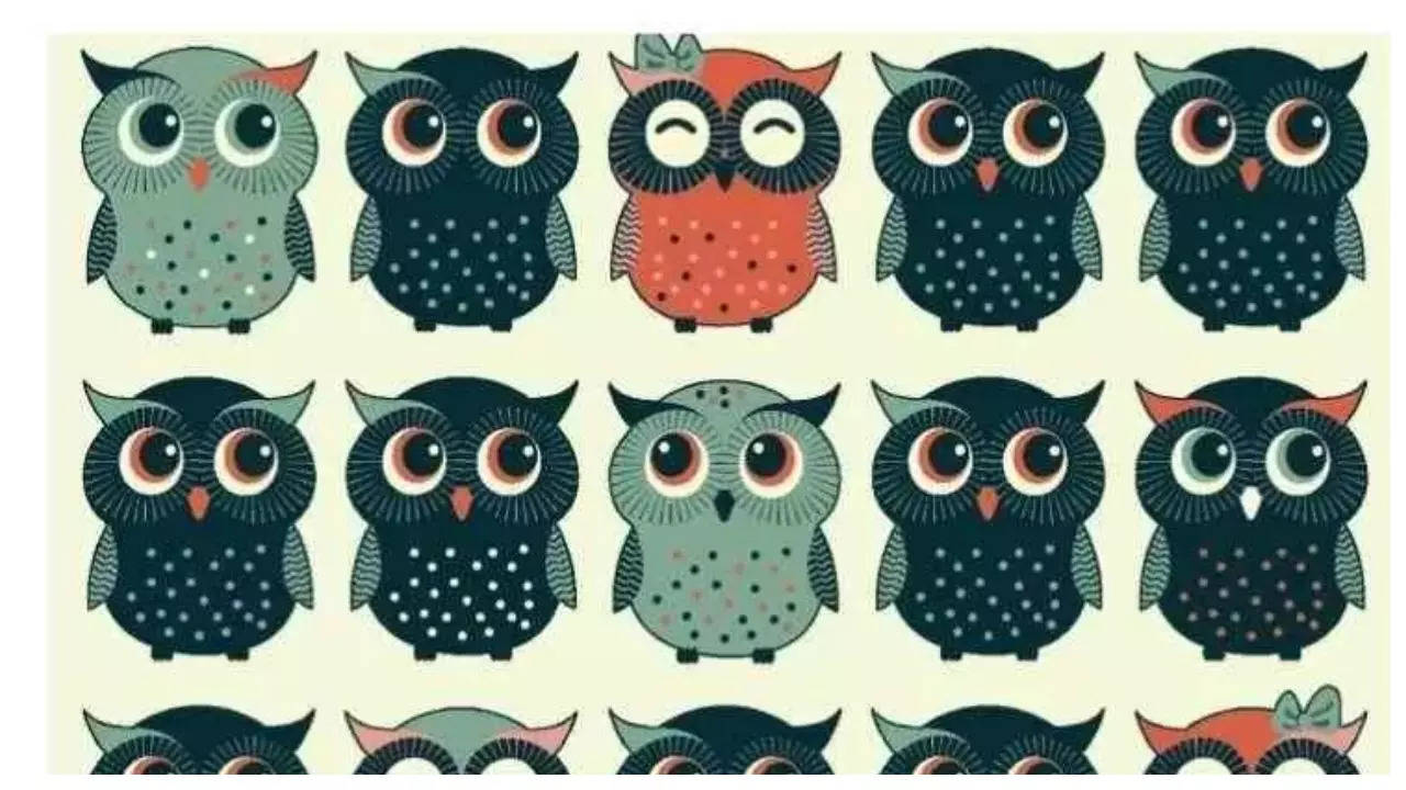 Optical illusion: Only those with sharp vision can spot the odd Owl in the Parliament of Owls in just 29 seconds