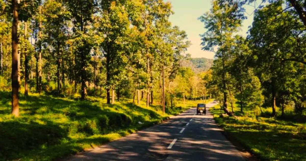 10-most-stunning-road-trips-in-south-india-for-2025-times-of-india