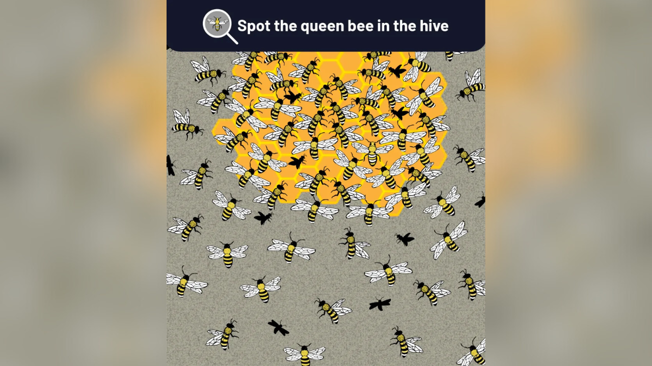 Optical illusion: Only a person with extraordinary observational skills can spot the Queen Bee in 7 seconds