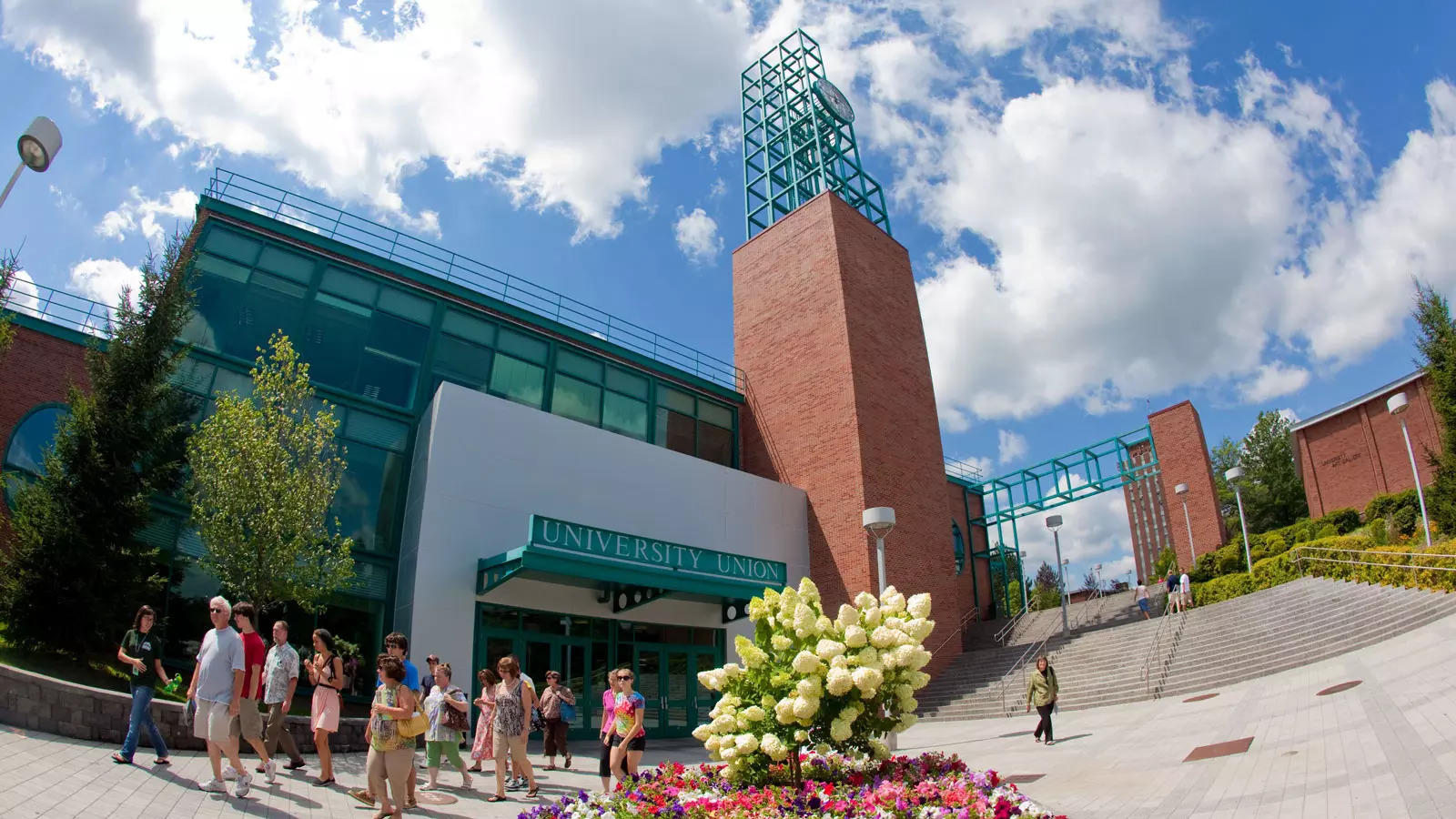 Why is Binghamton University suddenly becoming as popular as Ivy League schools?