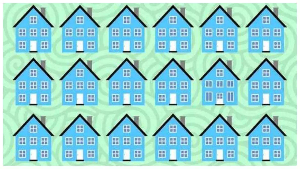 Optical illusions: Only a genius can spot the odd house in just 10 seconds.