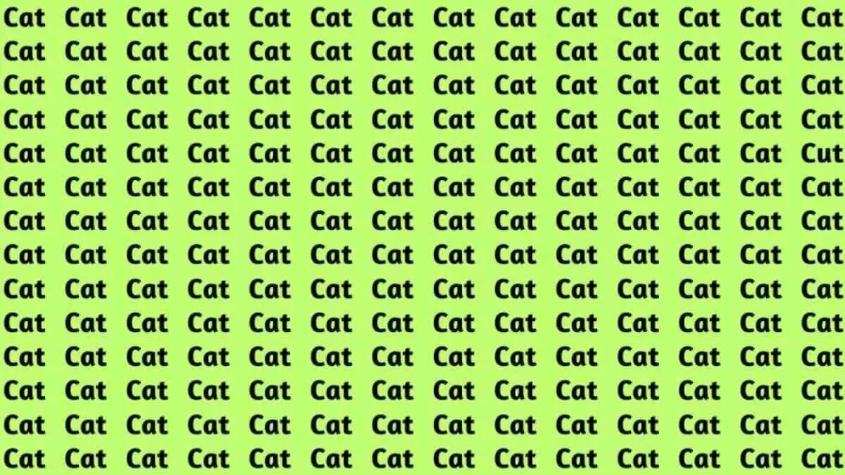 find-hidden-word-cut-among-cats-optical-illusions