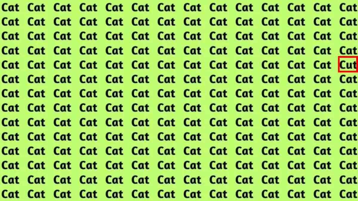 find-hidden-word-cut-among-cats-optical-illusions-with-answers