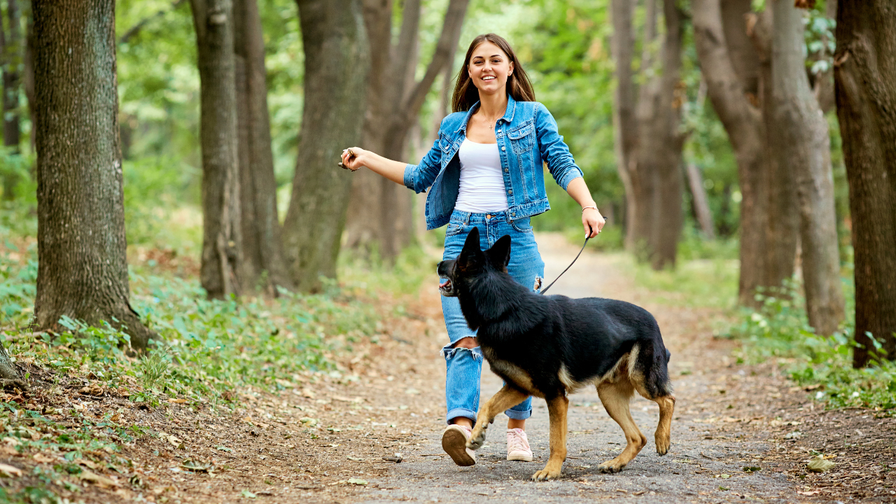 Is walking like a superpower to humans? What do experts say