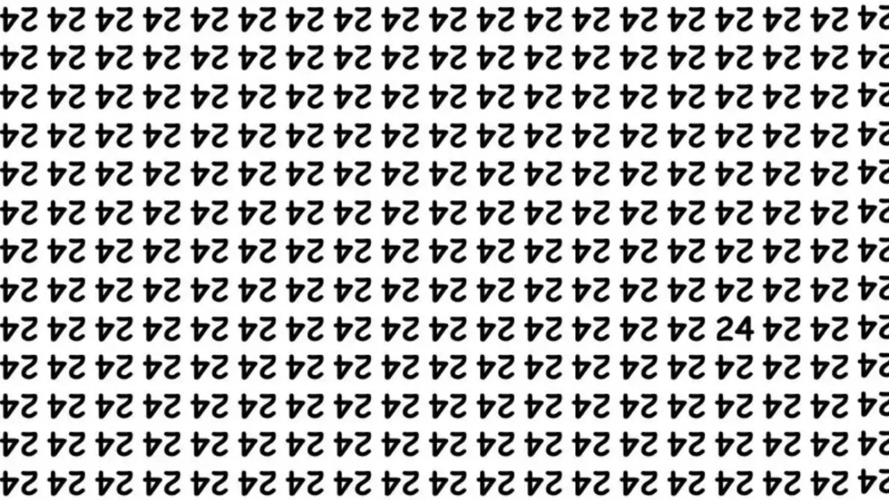 Optical Illusion: Can you spot 24 in this image?