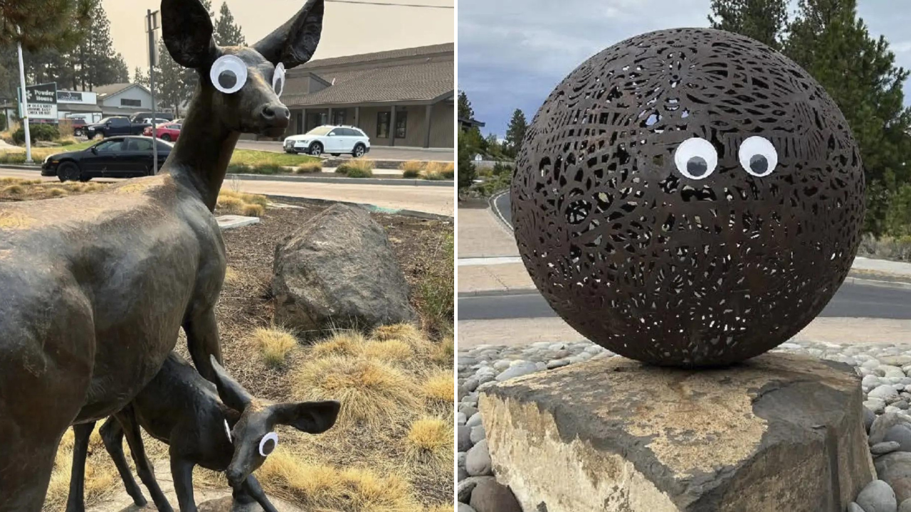 'Googly eye bandit' outs self? Man claims he started viral goofy prank in US state