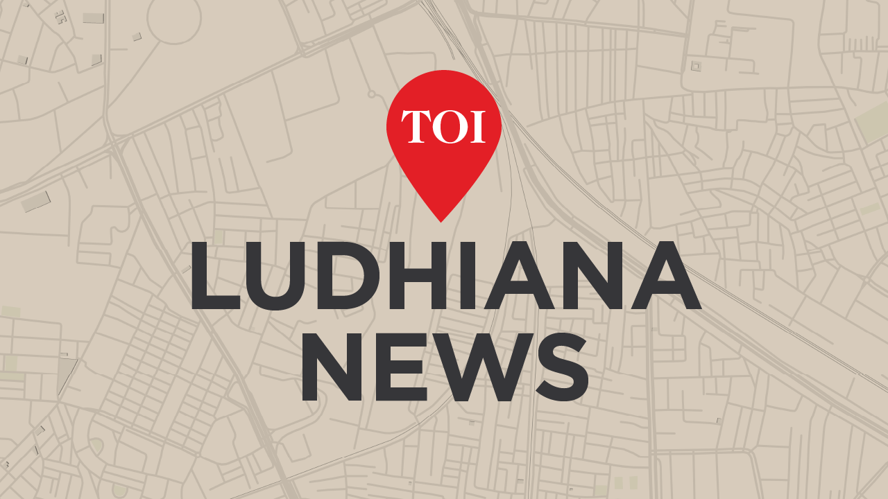 Two dead as reckless drivers spark carnage on Ludhiana roads.