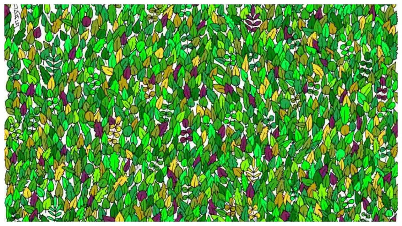 Optical illusion: Only those with sharp vision can spot the frog among these leaves in 5 seconds