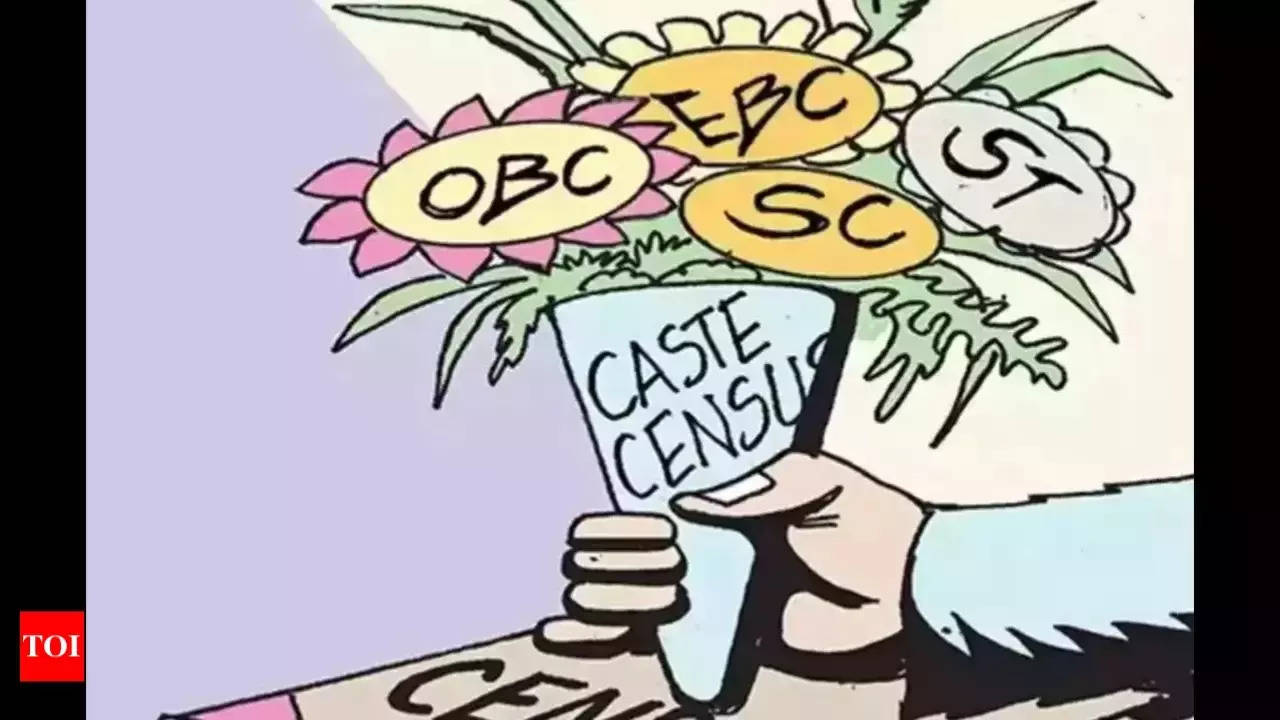 Caste survey: Backward classes Telangana's largest group at 46.25%