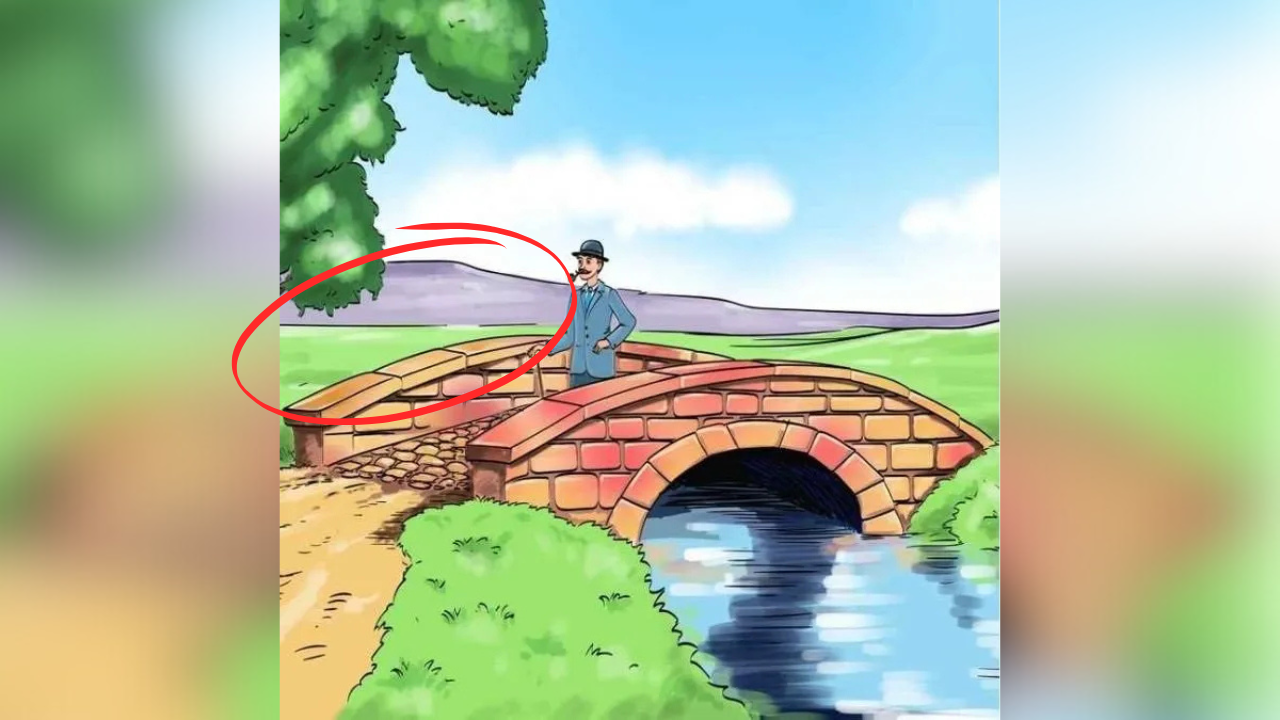 illusionss (10)
