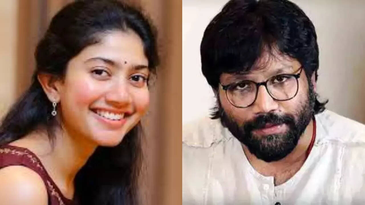 Sai Pallavi reacts to Vanga's sleeveless remark