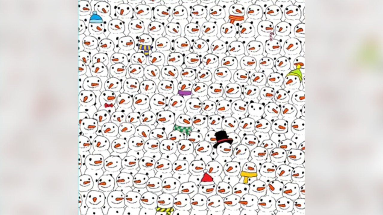 Optical illusion: Only a person with razor-sharp concentration can spot the hidden cute panda in 6 seconds