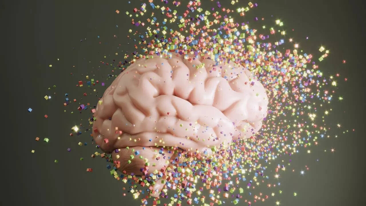 microplastic brain