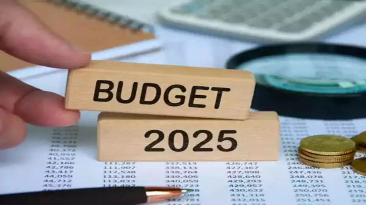 Budget signals slowing fiscal consolidation, says Moody's