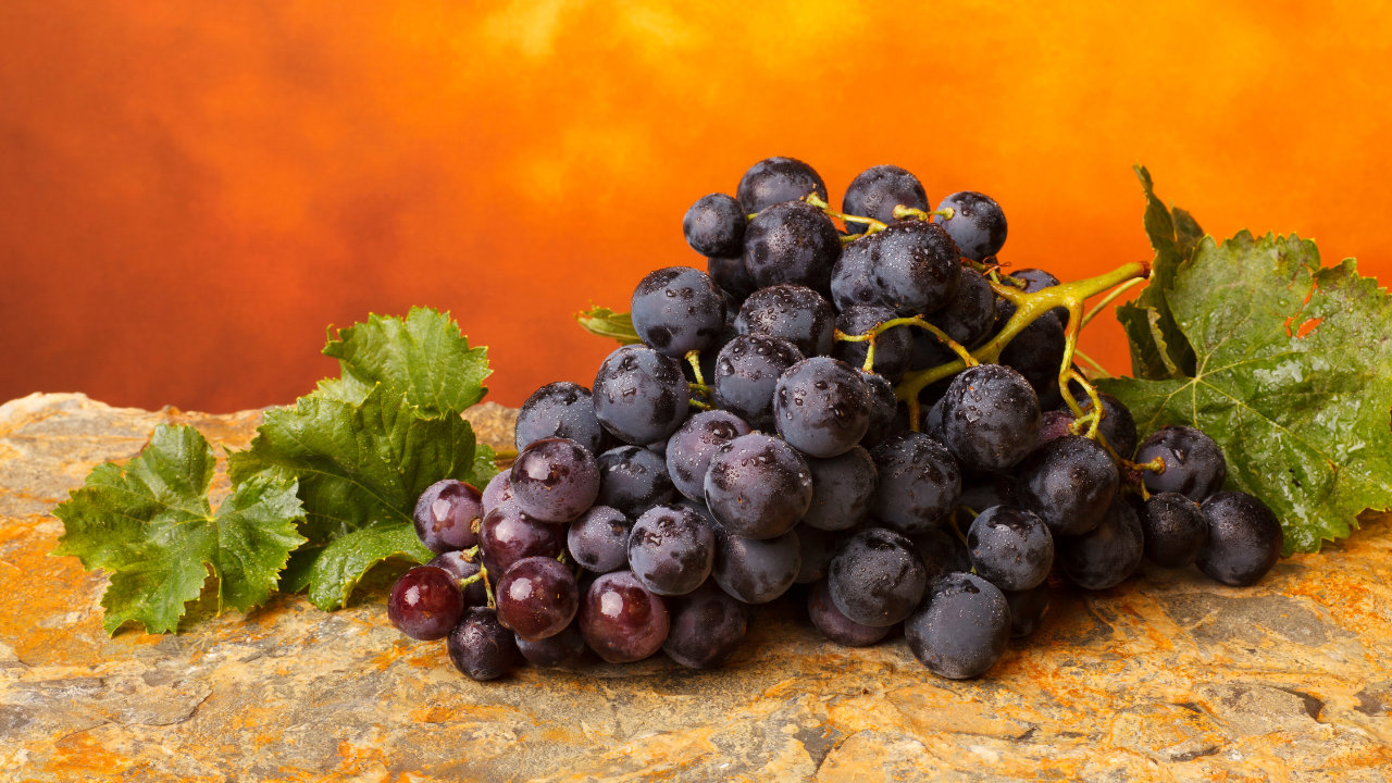 5 impressive health benefits of black grapes