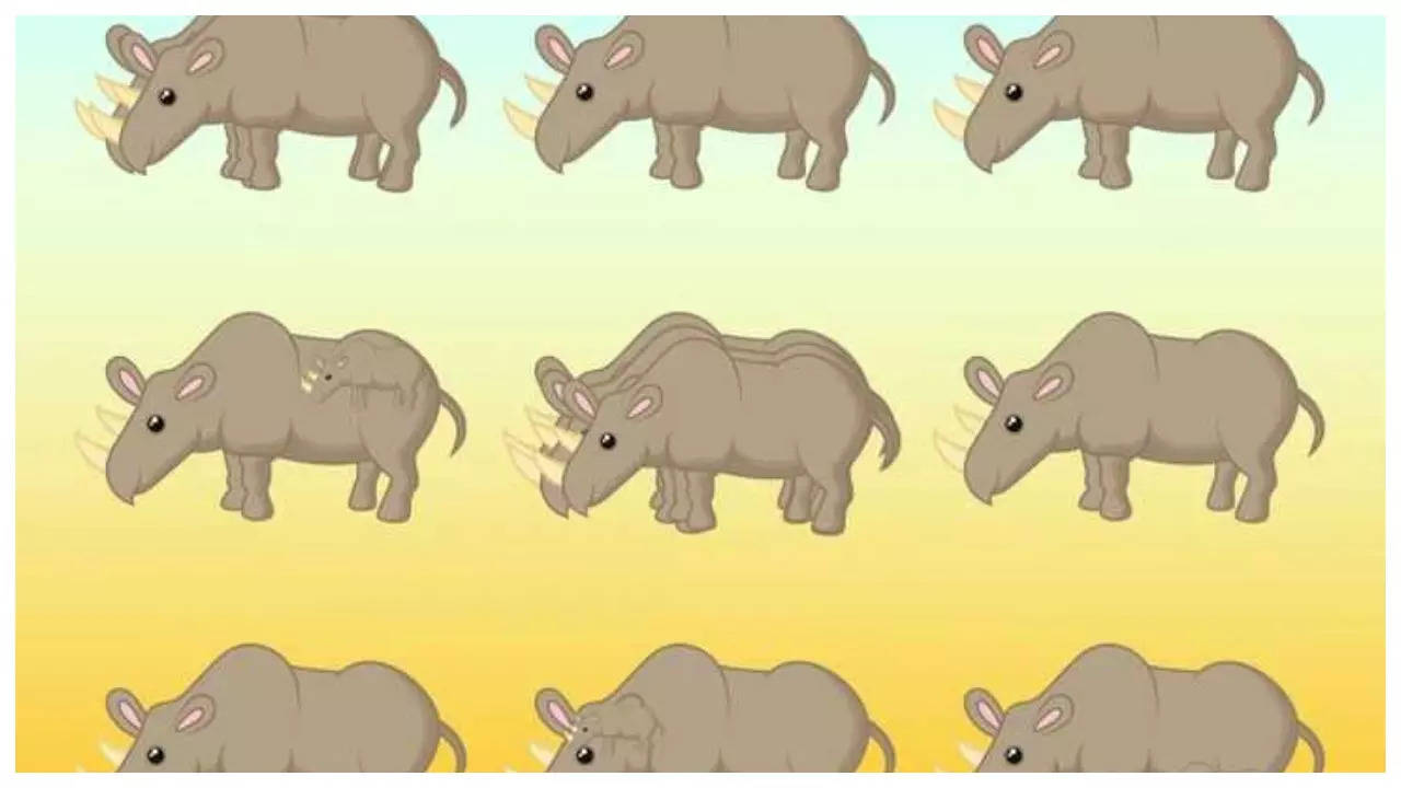 Optical illusion: Can you count how many rhinos are in the picture in 10 seconds?