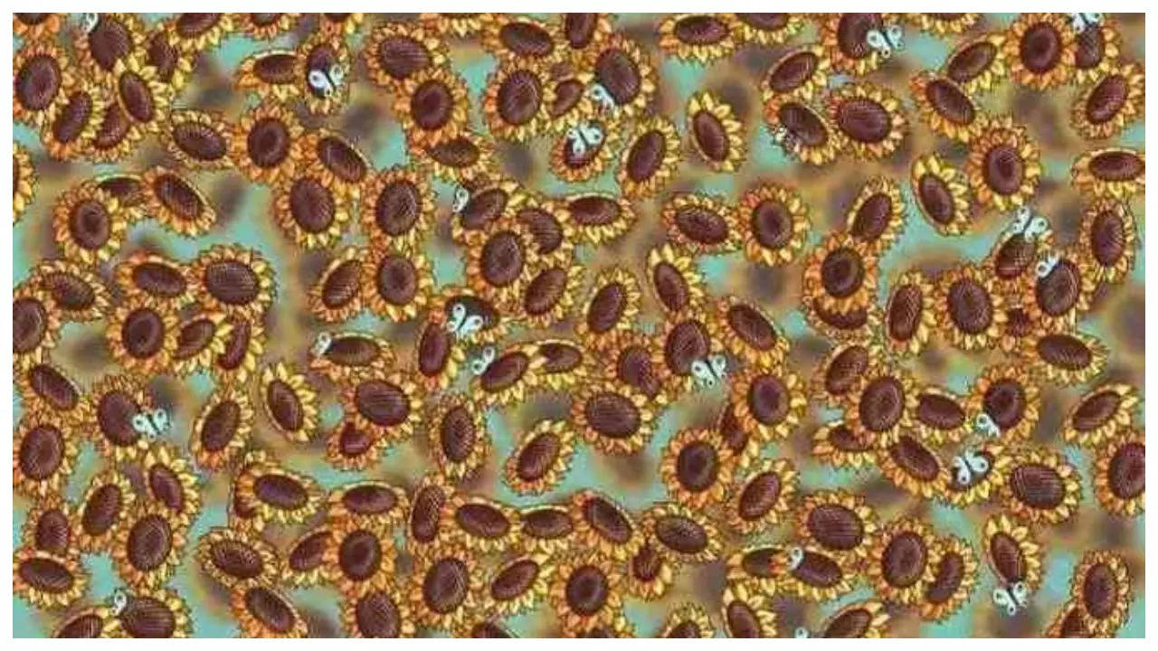 Optical illusion: Only a genius can spot the hidden bee among sunflowers in 5 seconds