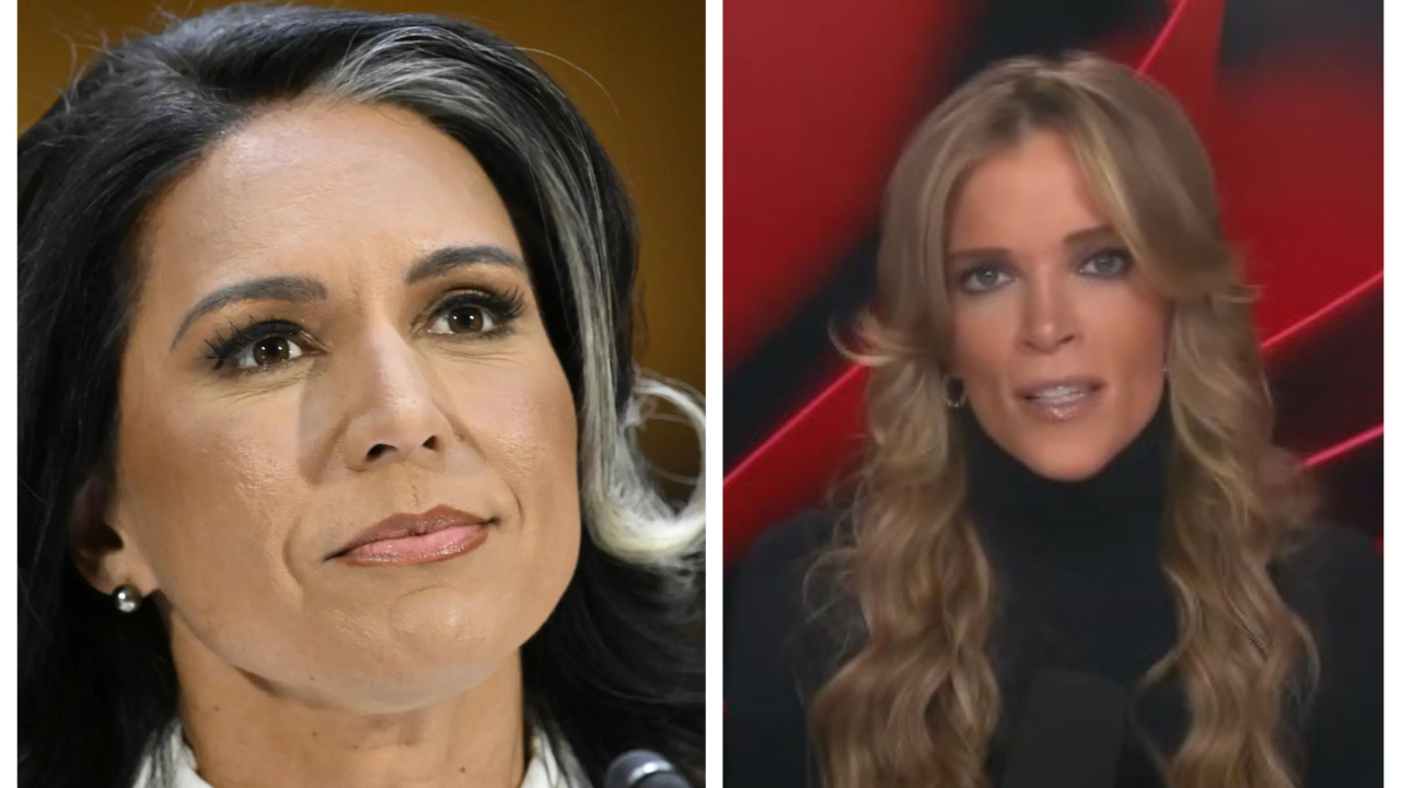 Megyn Kelly says Tulsi Gabbard's confirmation hearing was difficult only because...