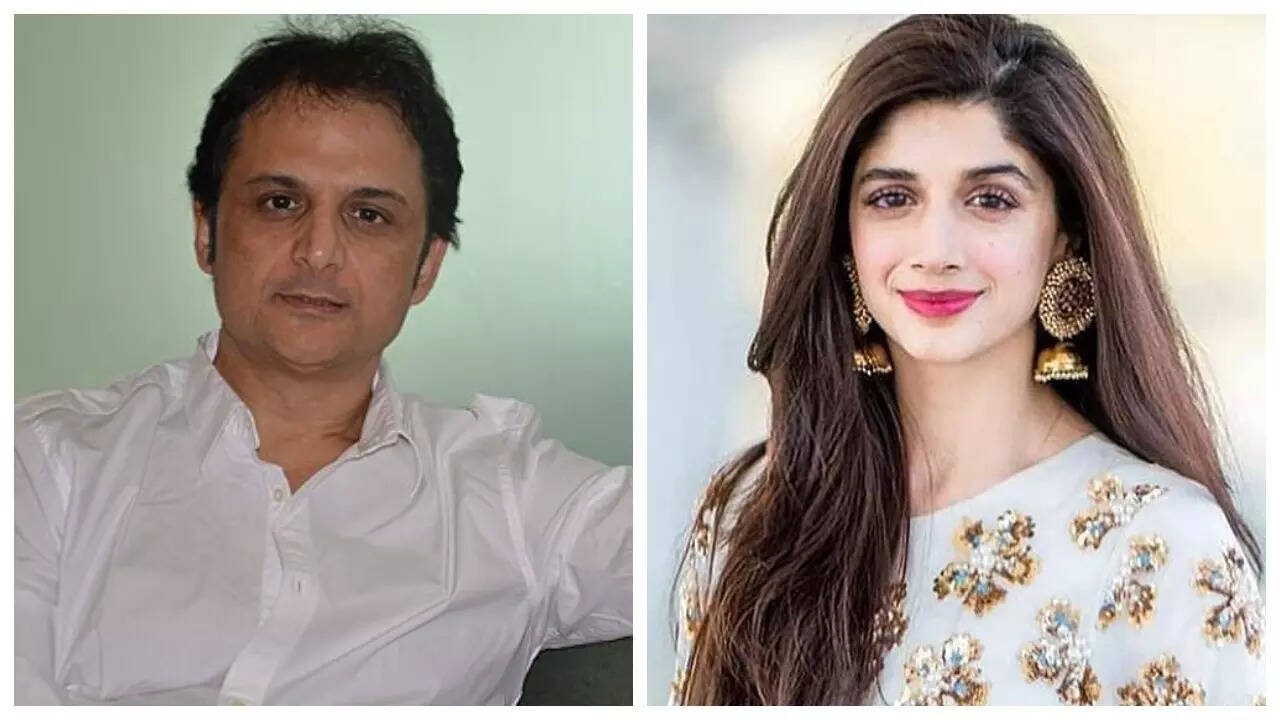 Vinay Sapru on Pakistani actors being banned in India