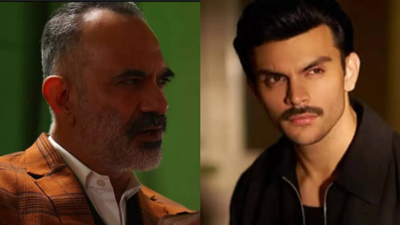 Manish Chaudhary on Veer Pahariya getting trolled