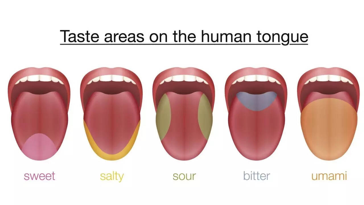 taste areas