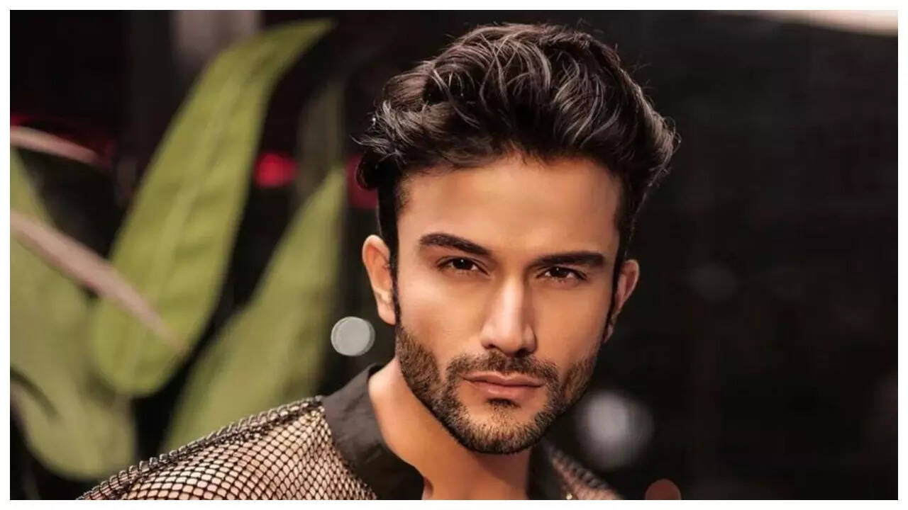 Sahil Salathia reacts to Ranveer Allahbadia's controversy