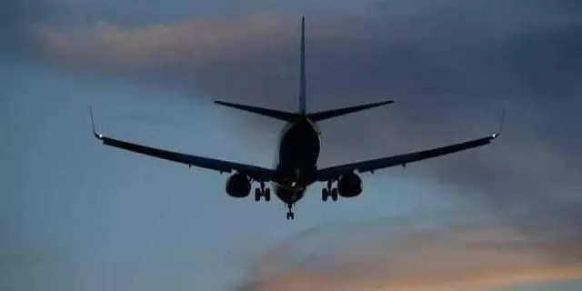 Govt to launch e-licences for pilots; India to be second country to do so for flight crew