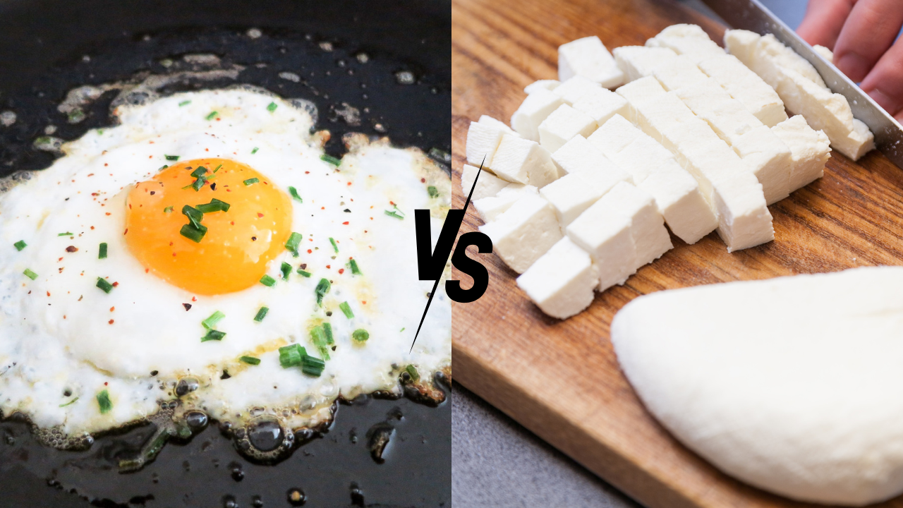 Egg vs Paneer: Which one is a better source of protein for weight loss