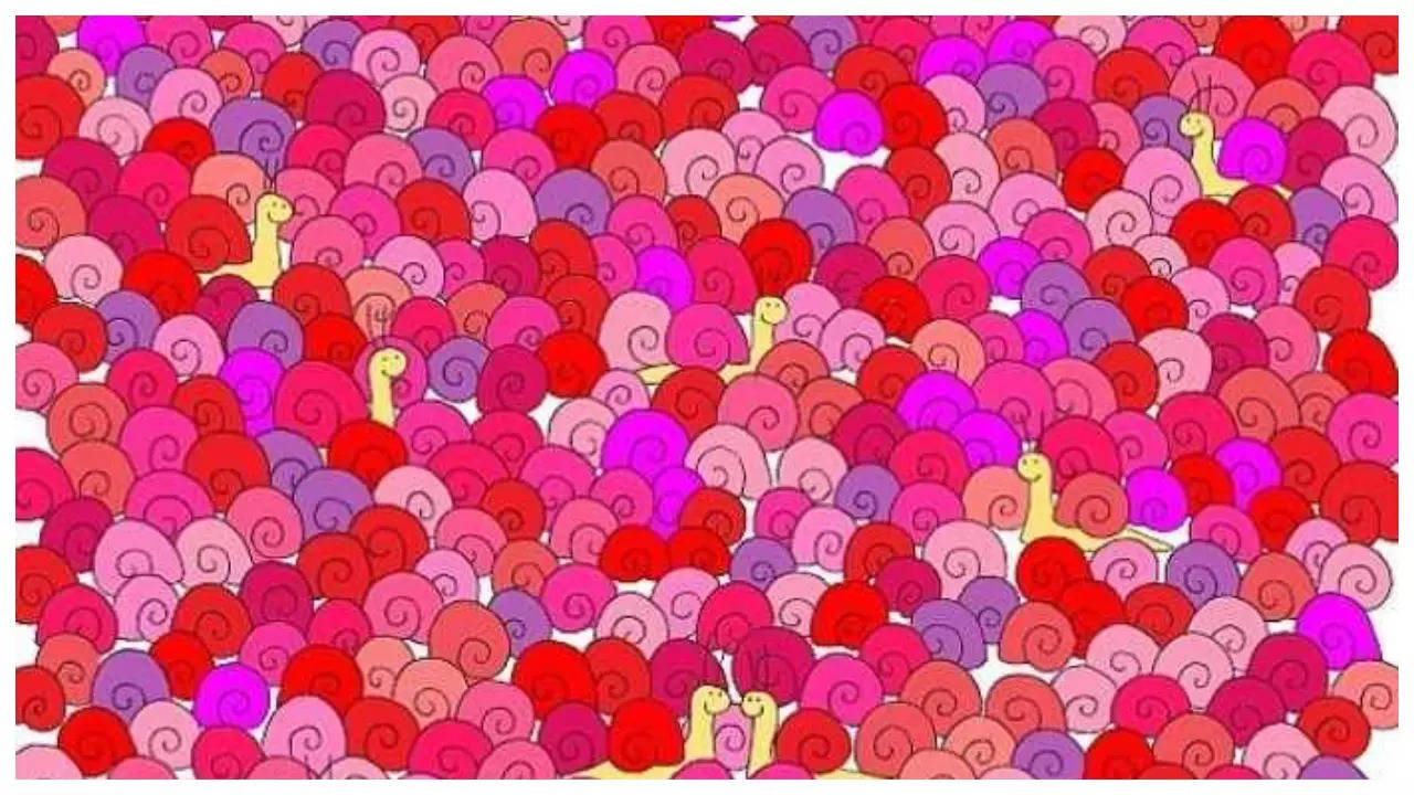 Optical illusion: Only those with 20/20 vision can spot the heart among snails in 5 seconds