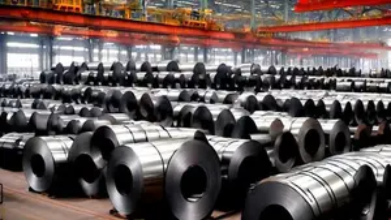 Tata Steel MD bats for safeguard duties on imported steel