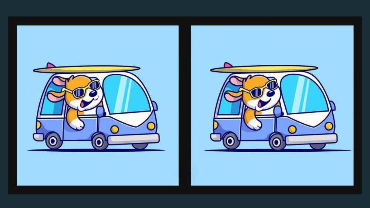 Find the Difference: Can you spot 3 differences in this puppy driving the van photo?