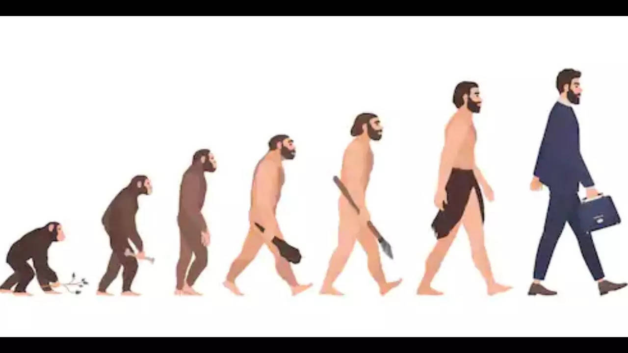 Humans are still evolving: And are literally losing this body part