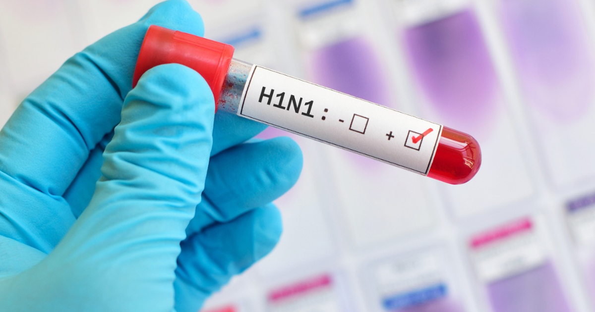 India sees sharp spike in Swine Flu infections: What is it and how to stay safe